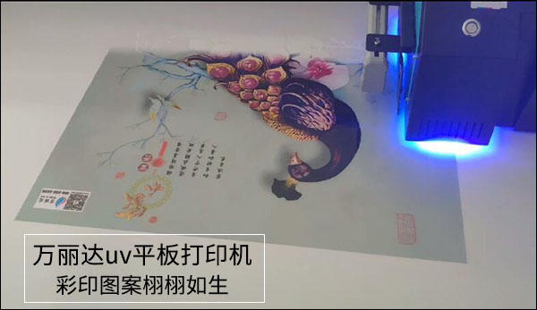 1566962556510160.jpg 5.jpg